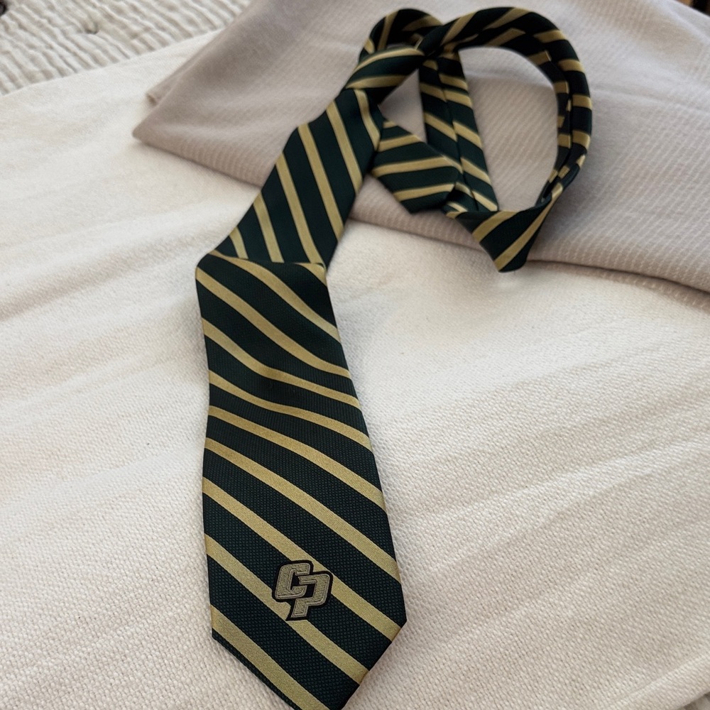 Stylish Green and Gold Striped Men's Tie